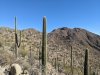 PXL_20241230_182737503.jpg
