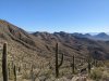 PXL_20241230_182754692.jpg