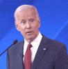 upload_2025-1-3_18-13-27.gif