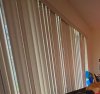 IMG_5454.jpeg