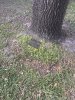 IMG_5455.jpeg