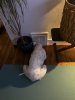 IMG_9818.jpeg