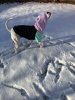 IMG_1785.jpeg