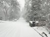 20250110_082503.jpg