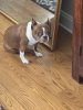 IMG_1447.jpeg