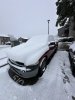 IMG_9391.jpeg
