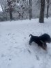IMG_1392.jpeg