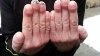 dick fingers.jpg