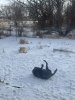 IMG_9678.jpeg