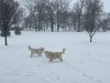 IMG_4002.jpeg