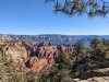 PXL_20250120_182652042.jpg