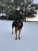 IMG_2268.jpeg