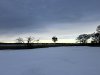 IMG_2251.jpeg