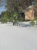 IMG_1064.jpeg