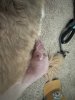 IMG_8832.jpeg