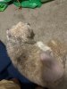 IMG_8830.jpeg