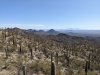 PXL_20250211_200259129.jpg
