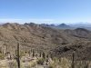 PXL_20250211_195854242.jpg
