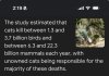 IMG_5201.jpeg