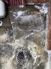 IMG_1930.jpeg