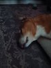 20250204_160149.jpg