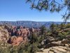 PXL_20250223_180224537.jpg