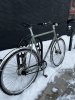 IMG_7071.jpeg