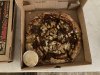 IMG_4905.jpeg