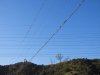 birds on a wire.JPG