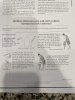 IMG_3053.jpeg