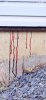 IMG_2047.png