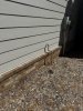 IMG_6622.jpeg