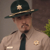 upload_2025-3-21_19-14-18.gif