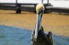 DSC_1230.jpeg