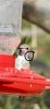 upload_2025-3-27_3-23-3.jpeg