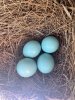 IMG_6805.jpeg