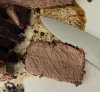 IMG_6804.jpeg