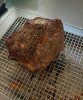 IMG_0937.jpeg