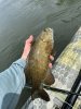 IMG_8516.jpeg