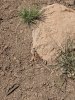 PXL_20250426_185817997.jpg
