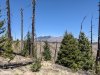 PXL_20250426_173722670.jpg
