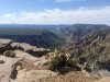 PXL_20250501_162850628.jpg