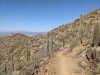 PXL_20250503_152140769.jpg