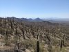 PXL_20250503_170202355.jpg