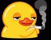 upload_2025-5-3_20-39-24.gif