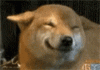 upload_2025-5-4_2-2-11.gif