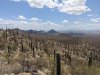PXL_20250504_185606801.jpg