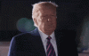 trump-didn't.gif