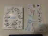 IMG_8082.jpeg