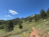 IMG_4576.jpeg